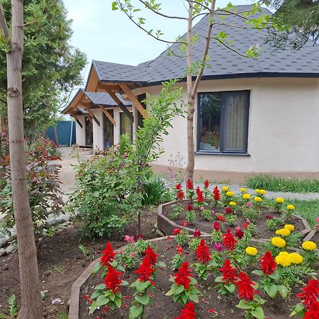 Happy Nomads Yurts & Hostel Karakol Exterior photo