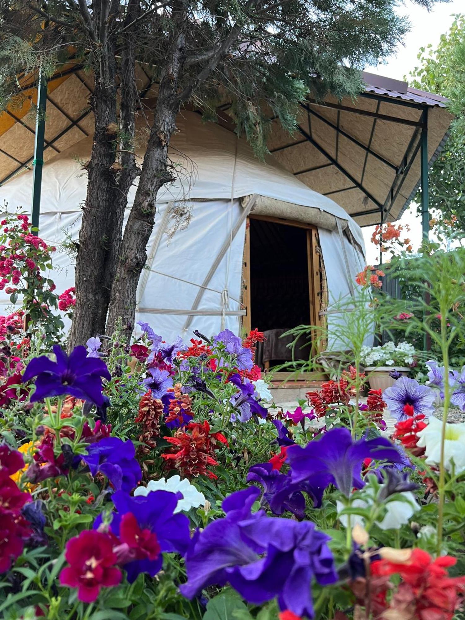 Happy Nomads Yurts & Hostel Karakol Exterior photo