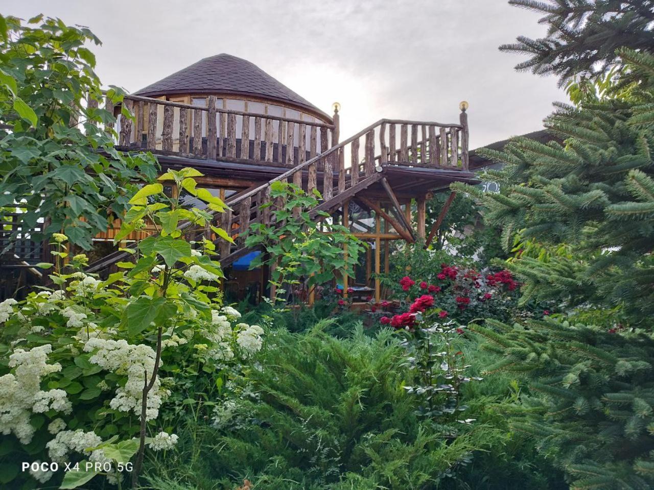 Happy Nomads Yurts & Hostel Karakol Exterior photo