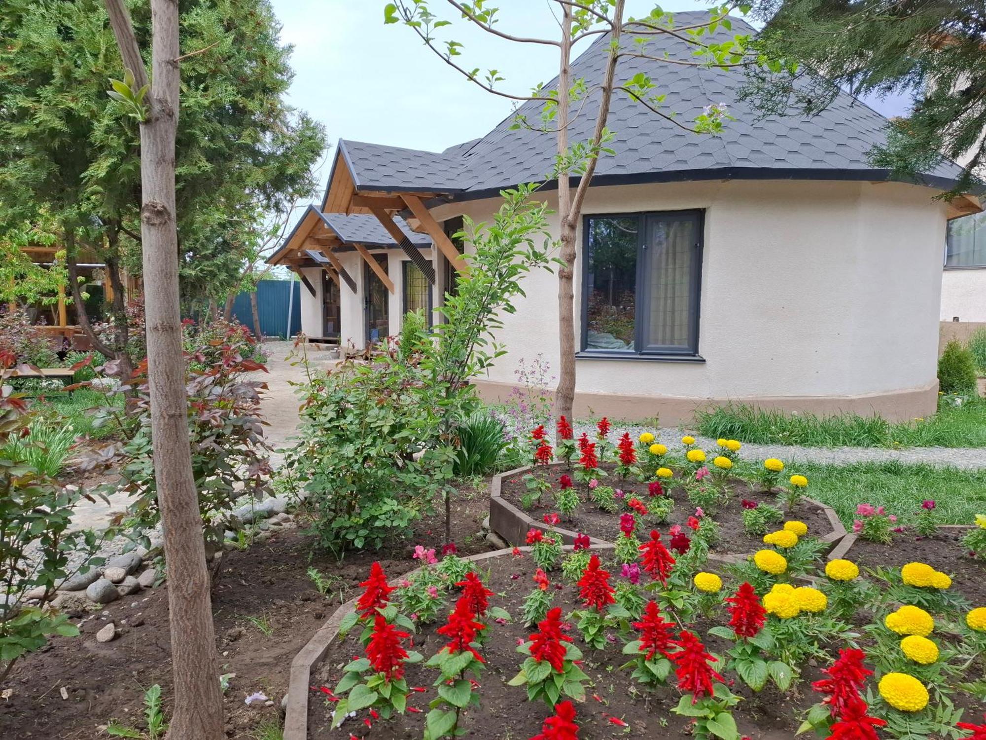 Happy Nomads Yurts & Hostel Karakol Exterior photo